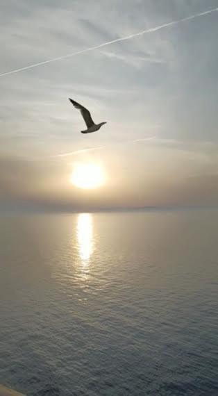 Armareaoverseassuites 1 Фиумичино Екстериор снимка